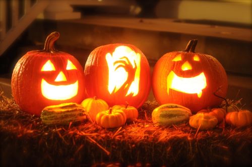 Three pumpkins carved during Halloween